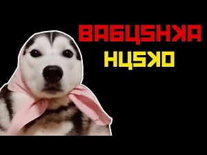 husko babushka