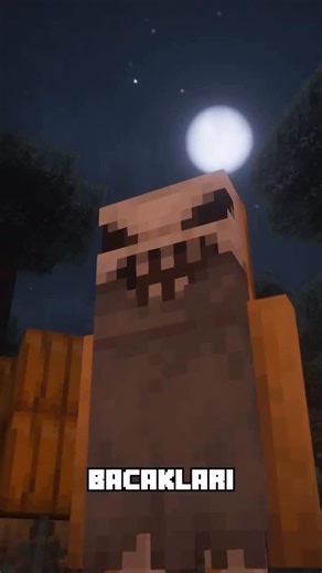 Selam Ben Can on Instagram: "BU NORMAL BİR YATAK DEĞİL! #minecrafttürkiye #fyp mod - The Sham by NyctoTeam Sürüm - java | forge"