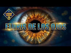 Amazing Facts About the Human Iris - Science - The Anthill