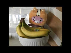 Foxy and boxy adventure #LankyBox #LankyBoxWorld #FoxyFeast the ORIGINAL