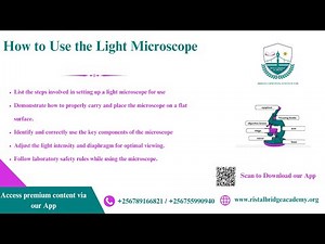 How to Use the Light Microscope