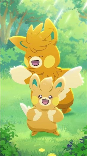 Pawmi, Pawmo, Pawmot | POKÉTOON Shorts