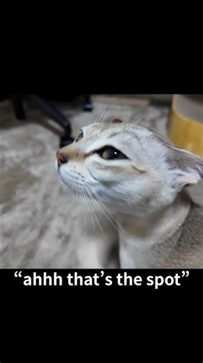 【Singapura】“ooooh right there”