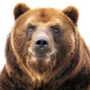 おっさんのゲーム配信 - Twitch