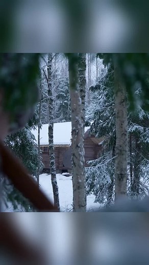 #bushcraft #build #camp #camping #survival #shelter #wildlife #outdoors #outdoor #viral #fyp #foryou