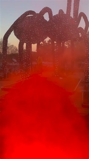 🎃 Boo at the Zoo is BACK! 👻 Get ready for a spooktacular time at @clemetzoo, happening Thursdays–Sundays, 5–9 PM, October 2–26! 🍂 ✨ Stroll through the zoo’s festive Halloween paths 🍬 Trick-or-treat at 12 candy stations on @waysidefurniture way 🦹🏾‍♂️ Meet costumed characters 🎶 Dance the night away at the Monster Mash Dance Party presented by @crosscountrymtg 🚂 Enjoy free rides on the Boomerang train courtesy of @metrohealthcle 🎁 The first 1,000 guests each day get a free trick-or-treat b