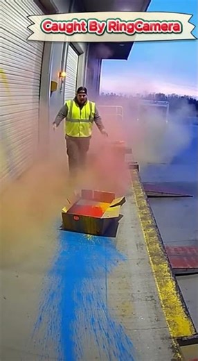 Rich Show-Offs Regret Grabbing Packages After Paint Traps Go Off 🎨 | Caught By RingCamera