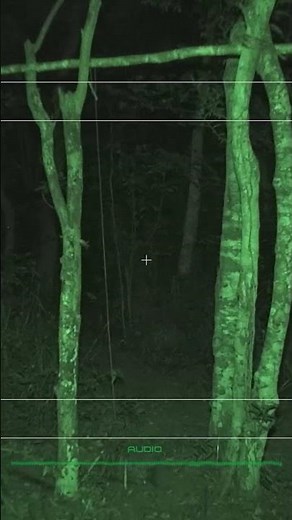 Alien Origin #shorts