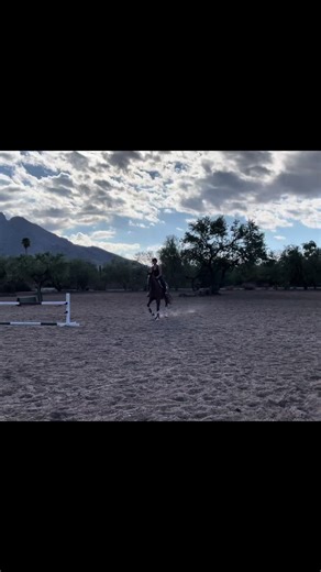 genuinely so perfect <3 • • #fyp #fy #horse #equestrian #hunterjumper