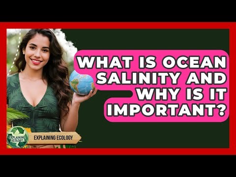 What Is Ocean Salinity And Why Is It Important? - Explaining Ecology
