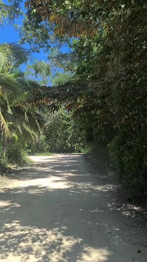 pasión por la carretera on TikTok