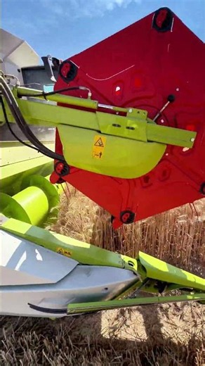 The CLAAS 8700 lexion combine, harvesting seed wheat 🌾 #harvest2026