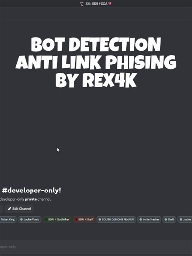 BOT DETECTION ANTI LINK PHISING/FOTO MRBEAST #fyp #DEVELOPER #discordserver #coding