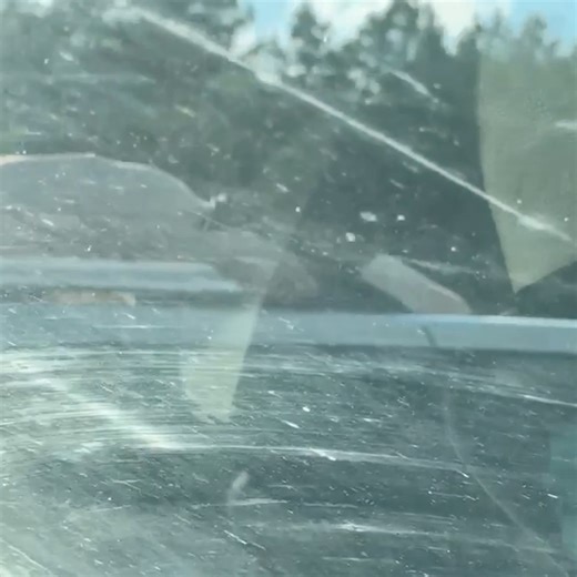 Things you only see in Cullman, Alabama.. 🤷‍♂️😂 | Cullman Daily