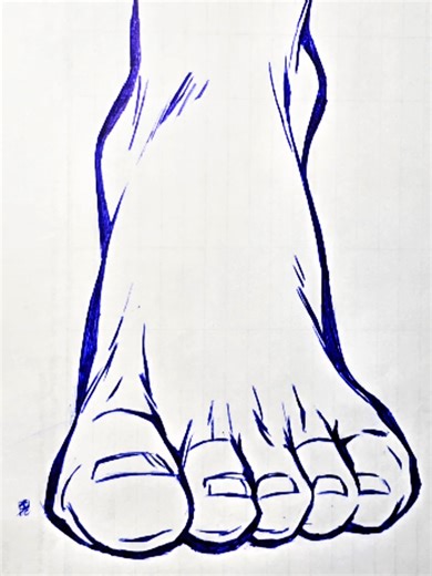 Drawing the Human Body: Support Structures Explained