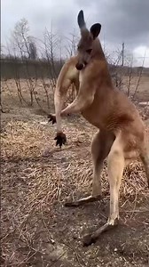 the power of transformation #284