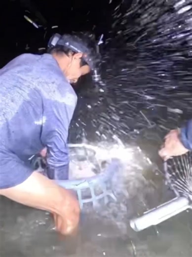 Malalaking Huli ng Karpa sa Rural Fishing