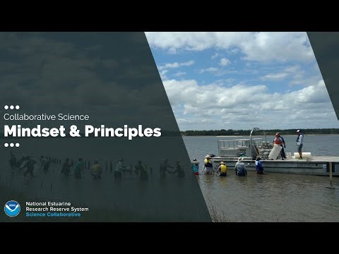 Collaborative Science Mindset and Principles