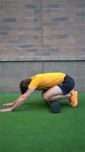 Foam Roll Lower Front Leg
