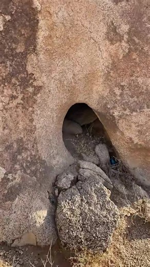 فيديوهات أنشأها غثير (@mf.0055) باستخدام الصوت الأصلي - غثير