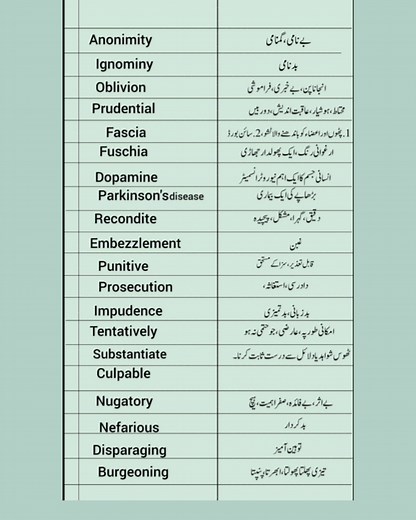 Learn Advanced English Vocabulary with Urdu Translation #learnenglishvocabulary #advancedenglish | English Learning with Shumail