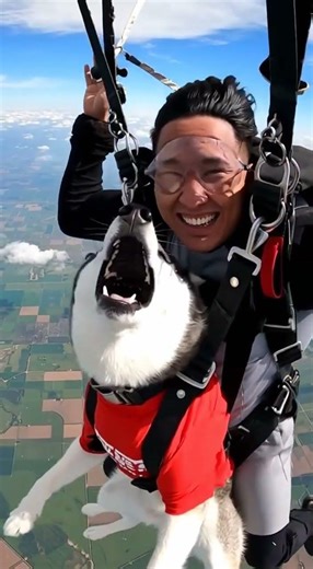 Help me !! help me !!!! Haha