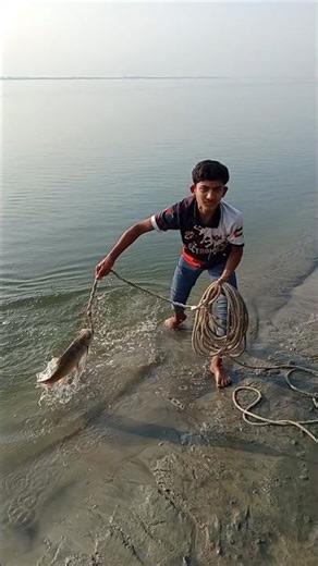 Amazing methods of catching big fish #sixgillfishing #fishbait #hookfishing