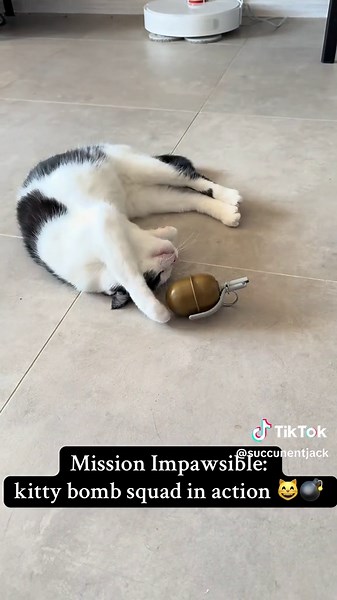 Mission Impawsible: Kitty Bomb Squad in Action!
