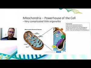 How Mitochondria Change & Understanding Strange Words: ROS & Cardiolipin- Dr. Eric Goetzman