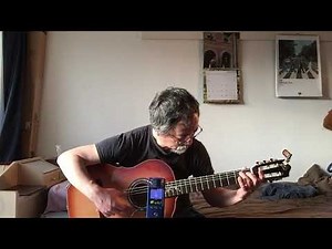 I Am The Walrus (Fingerstyle guitar)