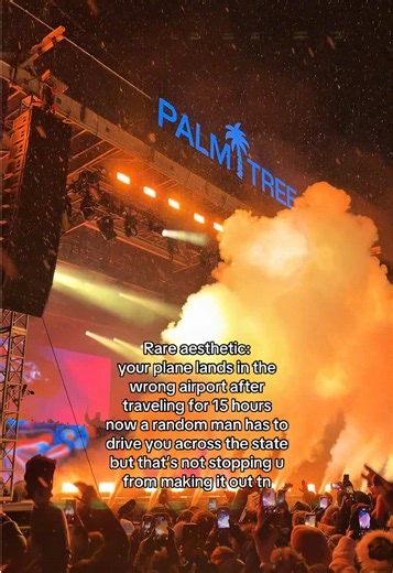 The Aspen Palm Tree Festival Experience