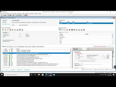 Cornerstone Patient Clipboard Preview WIndow