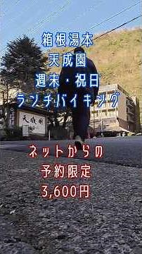 リーズナブルな料金で温泉＆ランチバイキング！箱根「天成園」の湯に浸かる #ひとり旅 #温泉