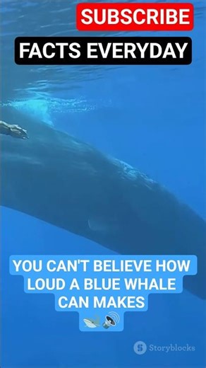 Blue Whale Call: Louder Than a Jet?!#shorts #facts