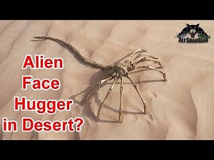 Agisis Life Sized Alien Face Hugger Time Lapse Build
