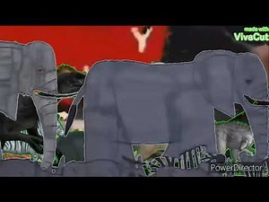 Animals Stampede crossover (part 2)