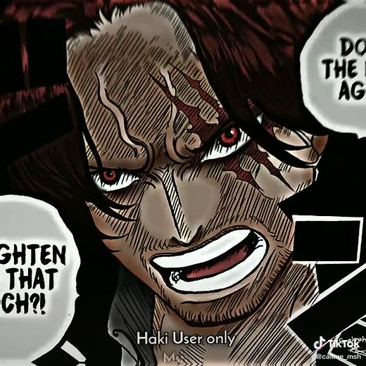 Haki User in One Piece: An Epic Edit