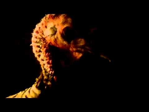 Turkey Sounds At Night.