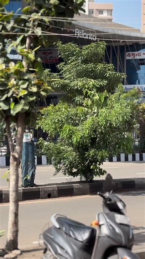 Bhautik Bhuro on Instagram: "Hey OPPO Humans! The festive season just got brighter—OPPO’s most-awaited 2025 Diwali Raffle is here! ✨ From September 19 to October 31, 2025, every time you buy an OPPO smartphone, you unlock your chance to win ₹10 Lakh Cash, daily ₹1 Lakh Prizes, the latest OPPO Find X8, Reno14 5G, F31 Pro, Enco Buds3 Pro, and much more. 💚 The best part? Everyone wins something! 🏆 Prizes You Can Win ₹10 Lakh Cash Prize (10 Winners) ₹1 Lakh Cash Prize (Daily 1 Winner) OPPO Find X8