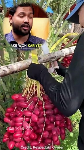 What we achieved in operation sindoor