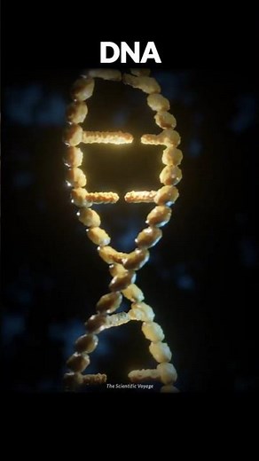 Complexity of the Human Body 🧬