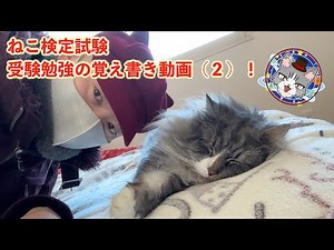 【ねこ検定（上級）に、合格したい！⑧】受験勉強の、覚え書き動画（２）♪