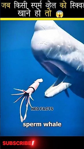 What Happens If a Sperm Whale Eats a Squid? 😱 | Ocean’s Most Dangerous Battle | NeoFacts#shorts