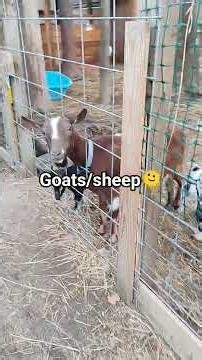 come view my back yard!