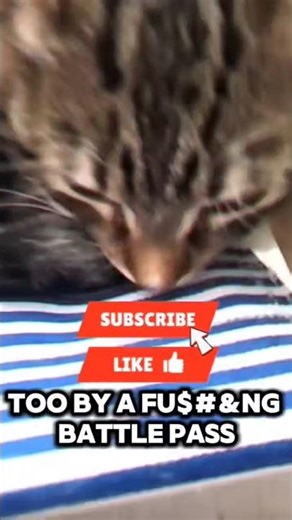 battle pass #fortnite#battlepass#funny#song#memes#music