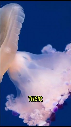 How do jellyfish move in water without having a brain or a heart?