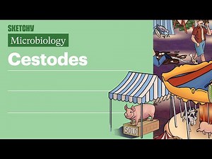 Cestodes (Microbiology) | USMLE Step 1 | Sketchy Medical
