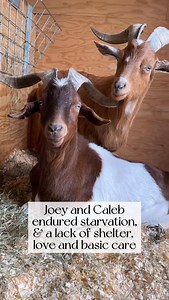 6.5K reactions · 145 shares | It’s hard to put into words just how...