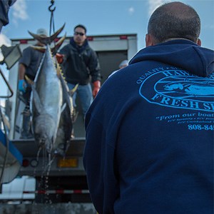 Hawaiian Fresh Seafood | Liberty Station Poke Shop
