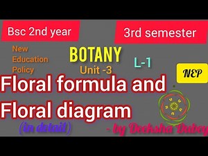 Floral formula and floral diagram BSc 3rd semester botany unit 3 new education policy#nep#bscbotany